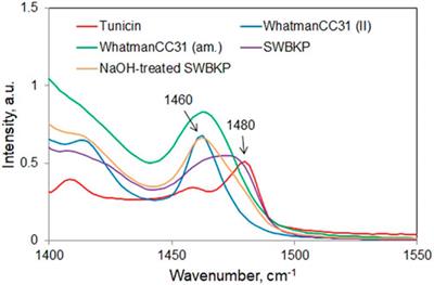 Beyond Crystallinity: Using Raman Spectroscopic Methods to Further Define Aggregated/Supramolecular Structure of Cellulose